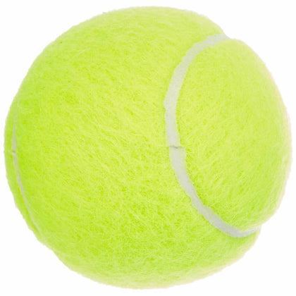 Tennisbollar Dunlop 601316 Gul