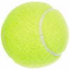 Tennisbollar Dunlop 601316 Gul