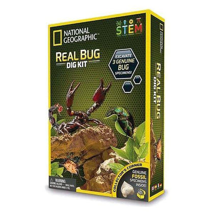 Vetenskapsspel Real Bug Dig Kit - DETDUVILLLHA.SE