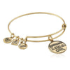 Damarmband Alex and Ani CBD12BGRG (17 cm) - DETDUVILLLHA.SE