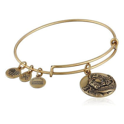 Damarmband Alex and Ani A16EBLBRG (17 cm) - DETDUVILLLHA.SE