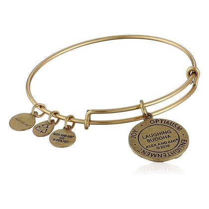 Damarmband Alex and Ani A16EBLBRG (17 cm) - DETDUVILLLHA.SE