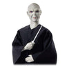 Sats med figurer Harry Potter vs Voldemort Mattel - DETDUVILLLHA.SE