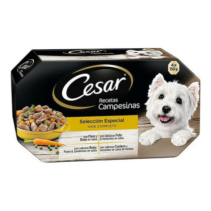 Våt mat Cesar (4 x 150 g)