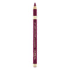 Lipliner Color Riche L'Oreal Make Up