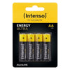 Batterier INTENSO 7501424