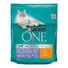 Kattmat Purina Coat & Hairball One (800 g)