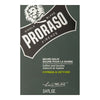 Skäggbalsam Proraso Cypress & Vetyver (100 ml)