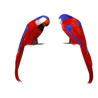 Papegoja Multicolour