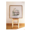 Tavla DKD Home Decor Pelican Fågel 60 x 2 x 60 cm (2 antal)