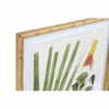 Tavla DKD Home Decor 50 x 2,8 x 70 cm Modern Botaniska växter (6 Delar)