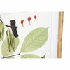 Tavla DKD Home Decor 50 x 2,8 x 70 cm Modern Botaniska växter (6 Delar)