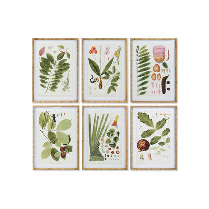 Tavla DKD Home Decor 50 x 2,8 x 70 cm Modern Botaniska växter (6 Delar)