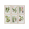 Tavla DKD Home Decor 50 x 2,8 x 70 cm Modern Botaniska växter (6 Delar)