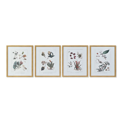 Tavla DKD Home Decor 43 x 3 x 53 cm Botaniska växter (4 Delar)