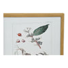 Tavla DKD Home Decor 43 x 3 x 53 cm Botaniska växter (4 Delar)