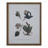 Tavla DKD Home Decor 43 x 3 x 53 cm Botaniska växter (4 Delar)