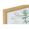 Tavla DKD Home Decor 43 x 3 x 53 cm Botaniska växter (2 antal)