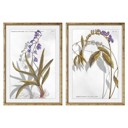 Tavla DKD Home Decor 50 x 2 x 70 cm Modern Botaniska växter (2 antal)