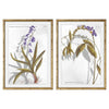 Tavla DKD Home Decor 50 x 2 x 70 cm Modern Botaniska växter (2 antal)