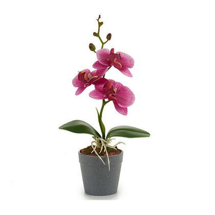 Kruka Purpur Rosa Fuchsia Vit Plast 7 x 26 x 14 cm