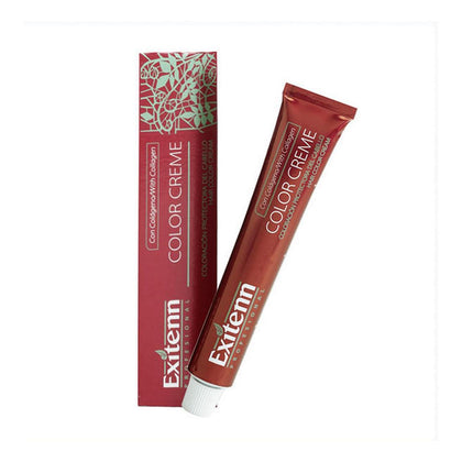Permanent färg Color Creme Exitenn Nº 5,1 Light Ash Brown (60 ml)