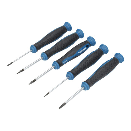 Uppsättning av Precisionsverktyg Ferrestock Precision (10 pcs)