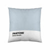 Kuddfodral Deep Breath Pantone 63836304 (50 x 50 cm)