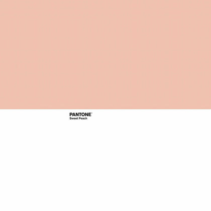 Påslakan Pantone Sweet Peach Säng 150 (240 x 220 cm)