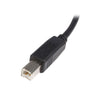 USB A till USB B Kabel Startech USB2HAB50CM          Svart