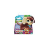 Interaktivt Husdjur Walkalots Hasbro 22 cm (22 cm)