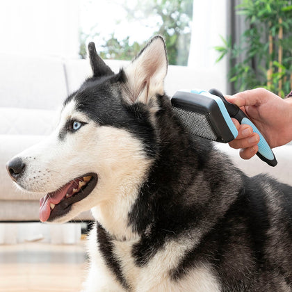 Borste för husdjur med infällbara borst Groombot InnovaGoods